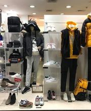 Gallery Cliente