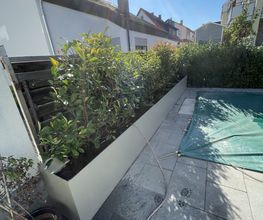 IMG_0424.jpeg