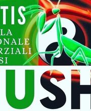 KMANTIS ASSOCIATION WUSHU ACADEMY - Roma immagine 1