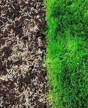 Bm Gartenservice Bild 2