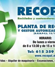 recopal-5.jpg