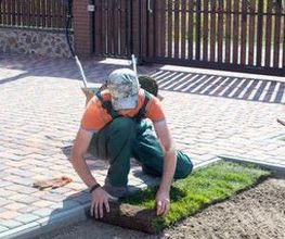 Jardiniers Services image 2