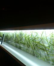 ADAM Jean-Christophe image 2