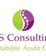 DS Consulting image 2