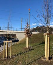 Garten Ideal GmbH Bild 2