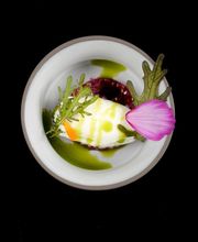 Allium image 4