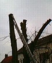 Espace Vert Mc image 18