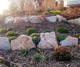Daniels Baum- & Gartenservice Bild 13