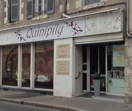 Institut Quinipily image 3