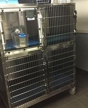 Duvivier Sophie image 19