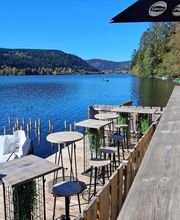 La Clairiere image 5