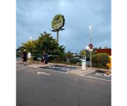 Wenea imagen 1