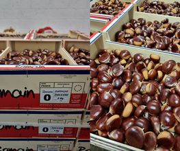 Les Frutamines image 1