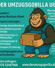 Der Umzugsgorilla UG (haftungsbeschränkt) Bild 1