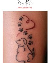 Paticillo Tattoo Bild 11