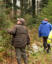 ALLIANCE Forêts Bois image 3