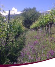 Mathier Franz-Josef AG Bild 7