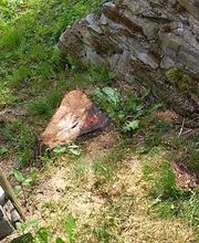 www.baumstumpf-raus.de Bild 6