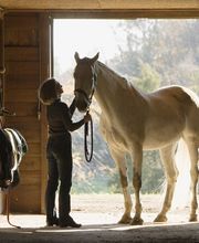 Guido Daasch Rechtsanwalt für Arbeitsrecht - Verkehrsrecht Schwanewede - Bremen Bild 3