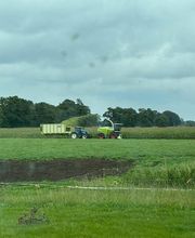 Maisoogst met de Claas Jaguar 840