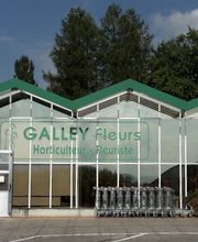 Galley fleurs Bild 1