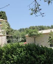 Recrosio Laurent image 3