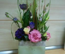 Floréal image 6