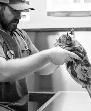 Wewoka Animal Hospital image 9