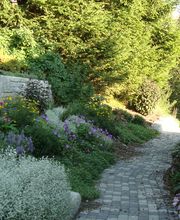 G. Bucher Gartenbau GmbH Bild 4