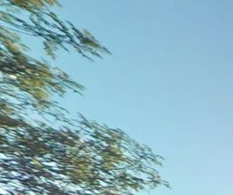 2 REALITY image 4