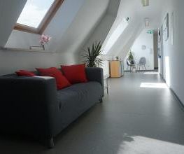 Aufenthaltsbereich mit einem Sofa mit roten Kissen und 2 Stühlen. Dachschräge mit Fenster, Pflanzen verteilt im Raum.