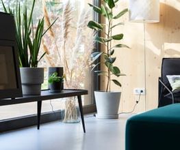 Natura Bodendesign Bild 1