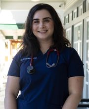 Irvine Valley Veterinary Hospital image 6