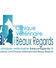 Clinique vétérinaire des Beaux Regards image 3