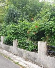 Lowson Paysage image 11