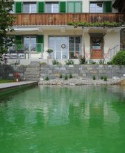 M&M Gartenbau AG Bild 6