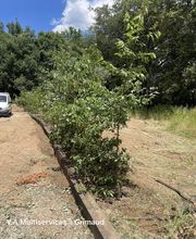 Elag'Art et Jardins image 5