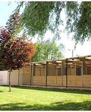 Felidog Sarl image 12