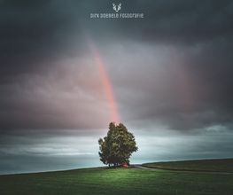 Dirk Doebele Fotografie Bild 10