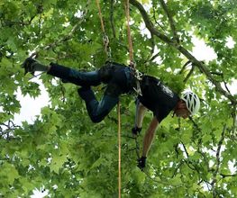 Les Artisans de L'Arbre Sarl Bild 3
