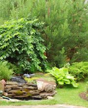 Martin Marius Bild 1