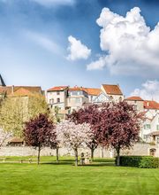 Elite Habitat image 8