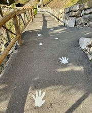 Dällenbach + Co. AG Bild 8