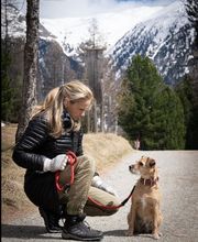 4-Pfoten Coaching Nicole Pirola Bild 1