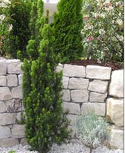 Stein & Garten GmbH Bild 3