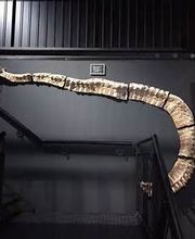 Welt der Kristalle Museum & Shop Bild 13