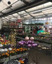 HELLWEG - Die Profi-Baumärkte Falkensee Bild 16