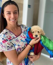 Clínica Veterinaria Roncal - Pilas imagen 9