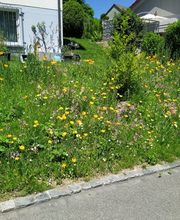 Chraftgrüen GmbH Bild 12