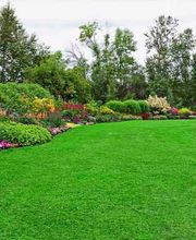 373347--jardineria-casanova-jardin-verde--con-flores.jpg